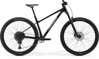 MERIDA BIG.NINE TR 600 L METÁLFEKETE (EZÜST)